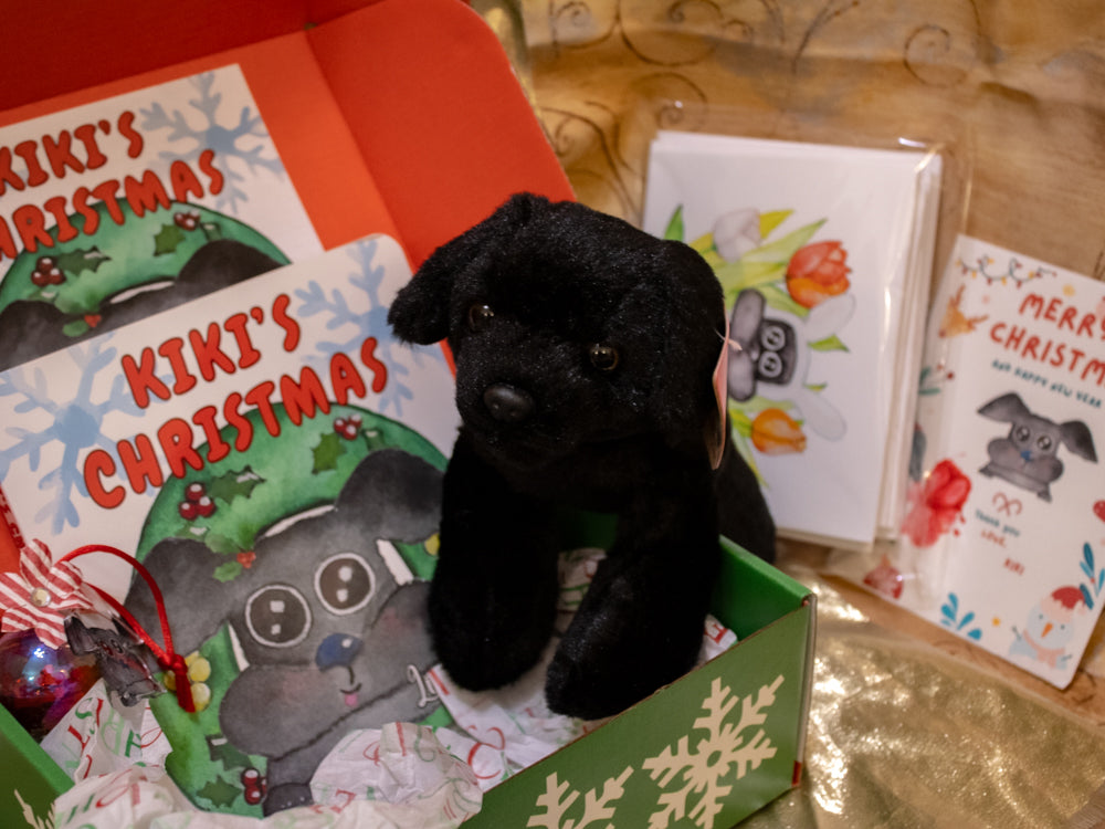 Kiki's Christmas Deluxe Book Box